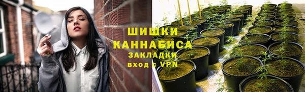 дурь Дмитровск
