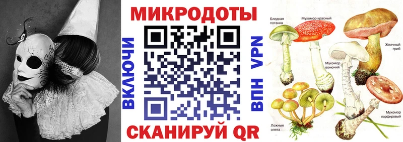 Галлюциногенные грибы Cubensis  Купить закладки  Мичуринск 